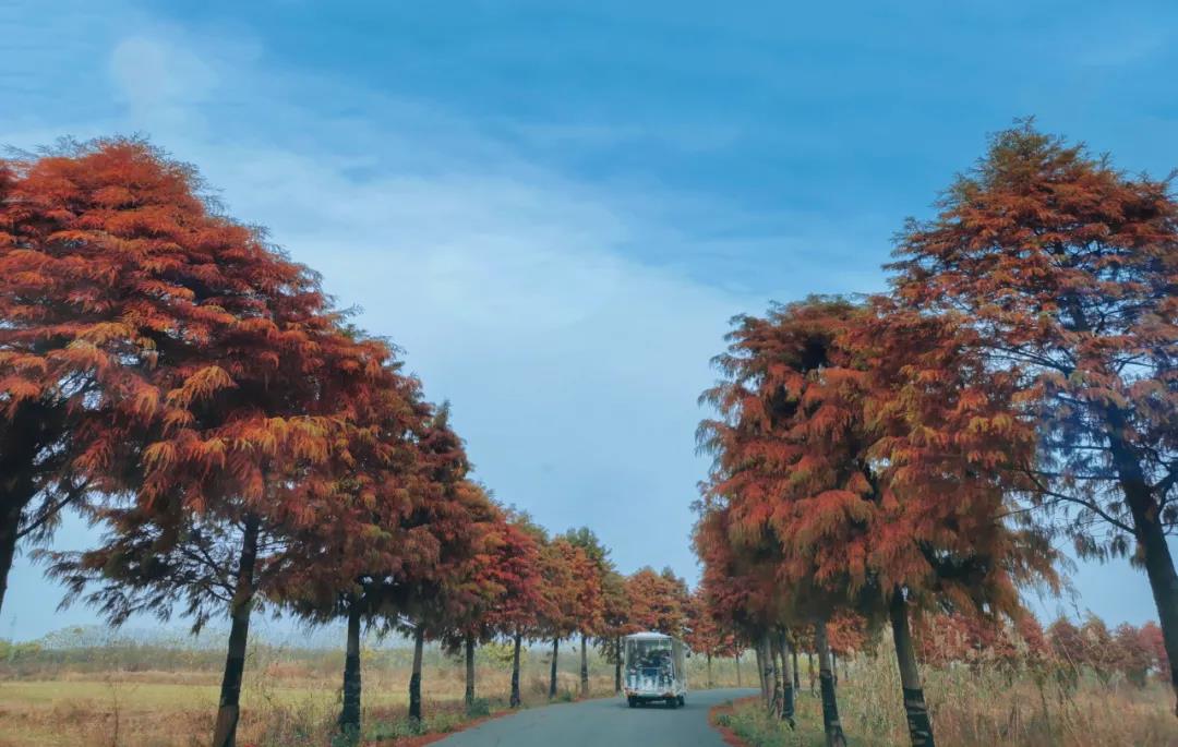 冬天，送你打开赤山湖的三把钥匙