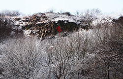 赤山映雪